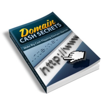 Domain Cash Secrets PLR Ebook - Domain Flipping